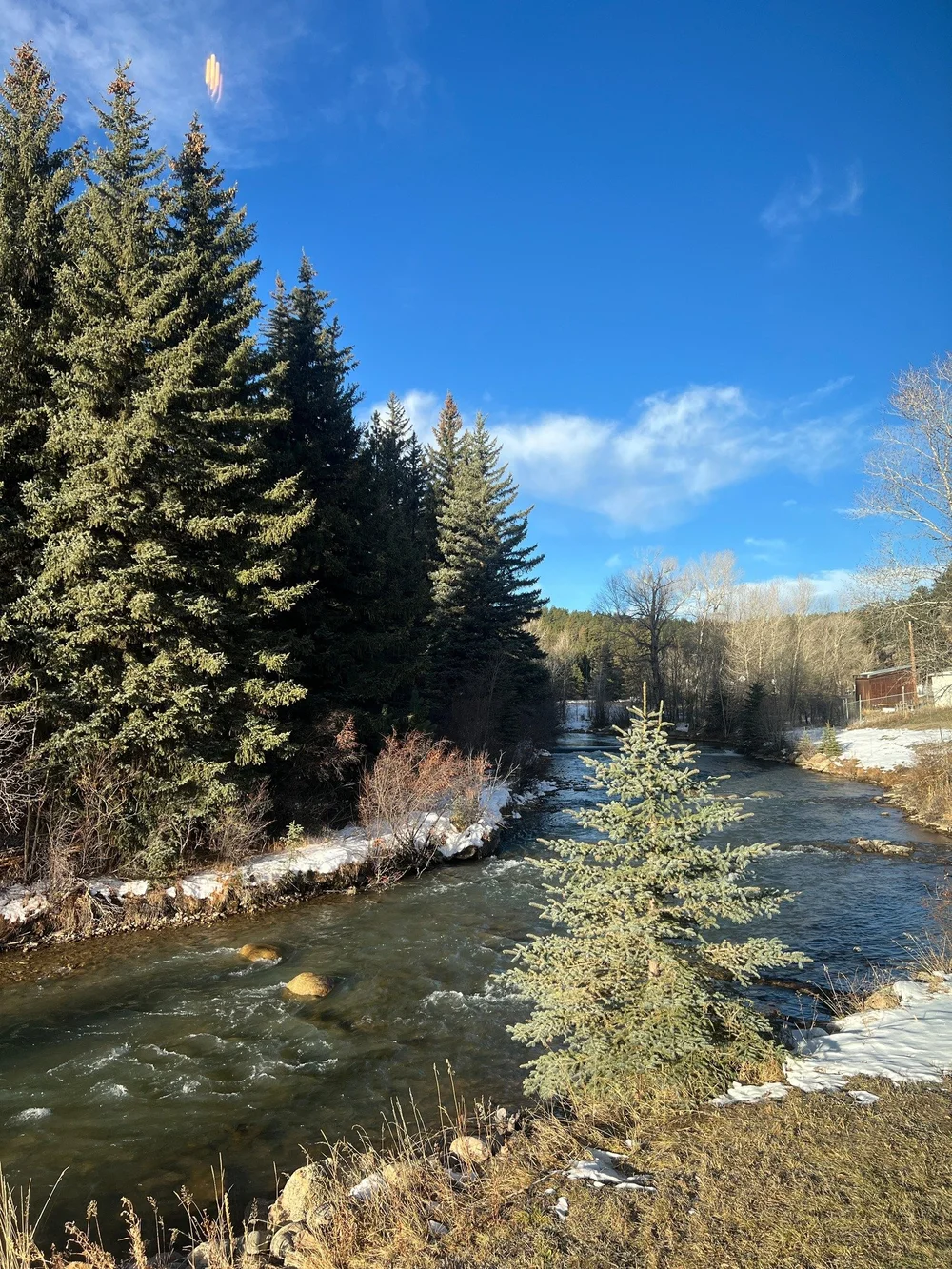 The North Fork of the South Platte River beside 2 Dad's