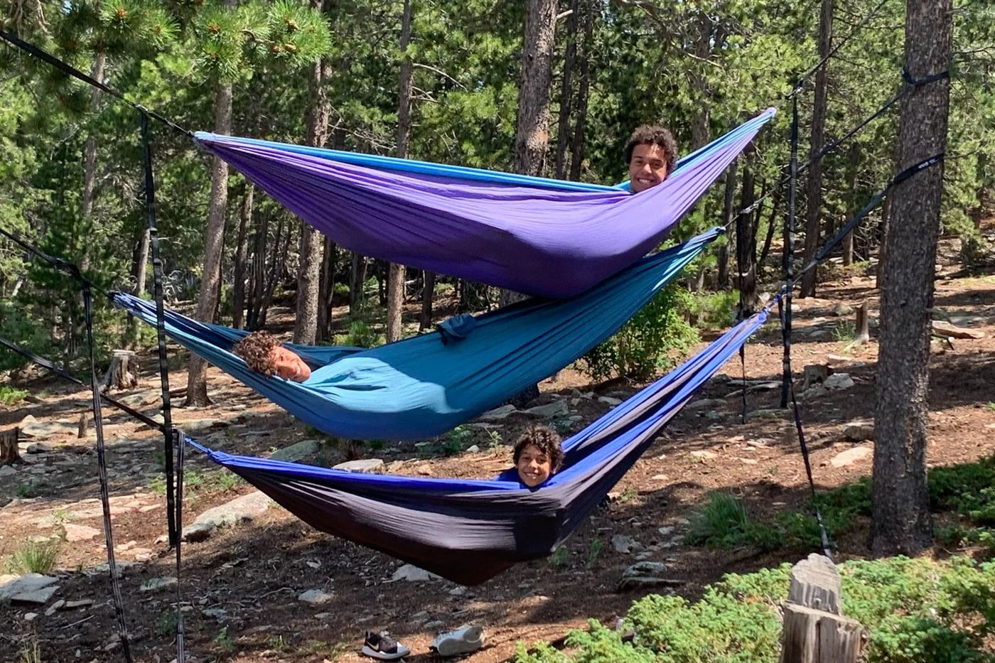 Hammocks hung among the pines