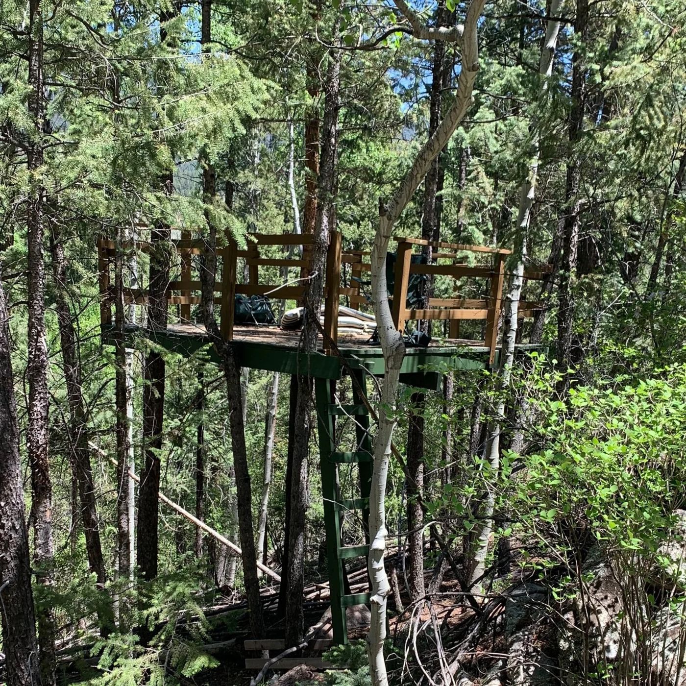 The Refuge's treehouse among the trees